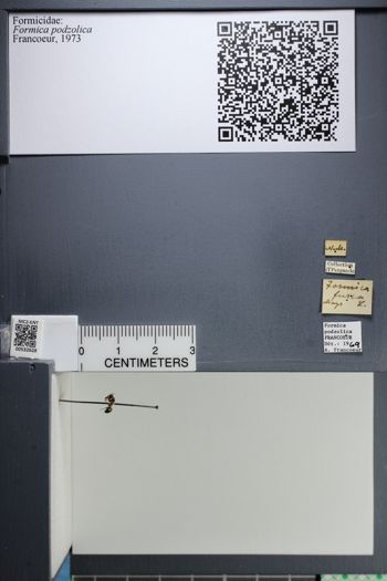 Media type: image;   Entomology 532628